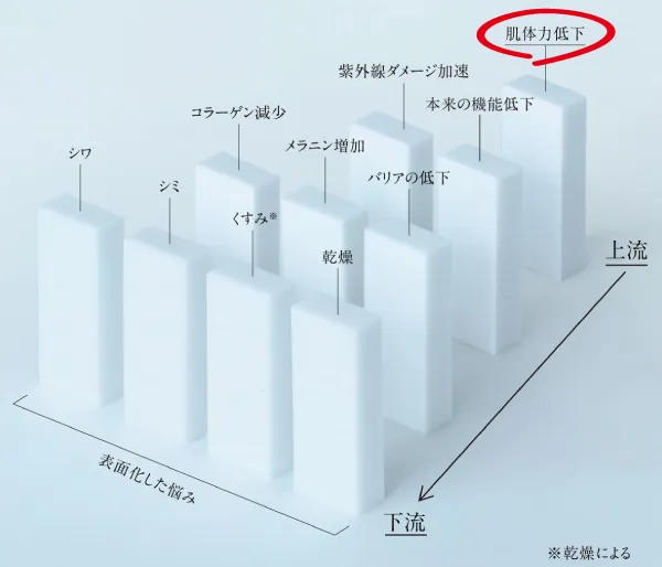 根本からエイジングケアできる化粧水